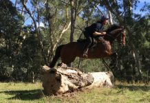 New racing season set to go