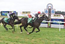 New fibre sand track on the horizon for Glenburnie