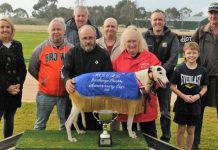 An appropriate Anniversary Cup result