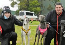 Sa visiting trainers rewarded for effort