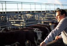 Federal funds support export growth