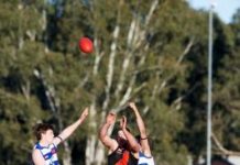 Bulldogs up at Island Park