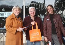 Health, transport raised as Millicent priorities