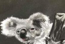 Gallery 54 unveils new exhibition