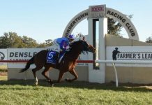 Big season for locals at city level