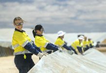 Harvest grows job pool