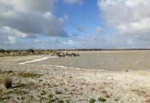 ‘Kakadu of the south’