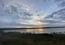 Councillor disputes forestry organisation water claims