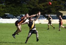 Magpies untouchable at the top