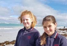 Students help protect region’s coast
