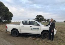 Feral pig outbreak brought under control