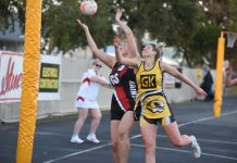 Bulldogs still in control