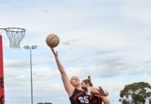 Cliff hanger at MacDonald Park
