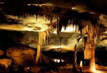 Caves visitor numbers steady