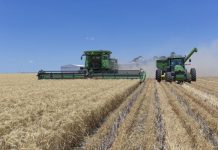 Grower confidence soars