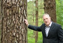 Forestry carbon credit push on ice