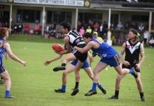 Magpies back on track