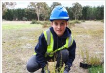 Students help restore Limestone landscape