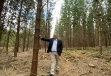 Struan site of AgTech hub