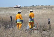 Regional road safety grants