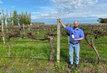 Cheese and wine on display
