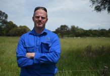 Searching for fire hazards