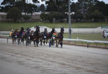 New executive for local racing