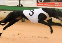 Mixed night for cup contenders