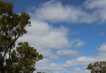 Coonawarra Rail Trail underway