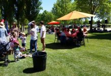 Coonawarra Carnival back on the cards