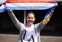 Mount Gambier Show gets green light