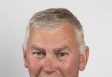 Building long term sustainable local governments