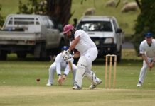 Visitors take advantage