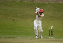 Tough for Tigers at home