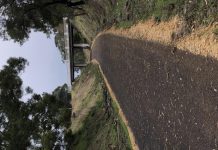 Dartmoor rail lands to be opened