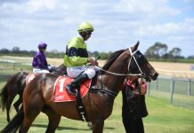 King of the youngsters