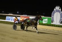 Quickly back in winning groove