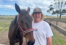 Another series final winner beckons