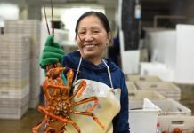 Crayfish industry seek other options