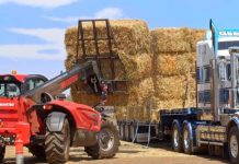 Don’t bail on safety