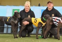 Rookie trainer takes involvement to new level