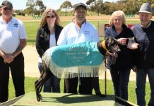 Richards’ big year continues at Tara Raceway