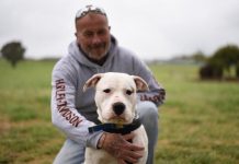 Pup is rescued after weeks in pines