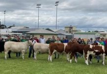 Grant high wins across the board