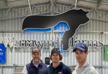 Warrawindi Farms 17th Annual Ram Sale