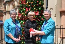 Mount Gambier gets into the Christmas spirit