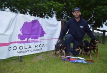 Trifecta at yard dogs