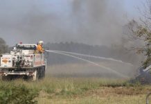 Police look out for arsonists