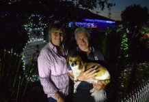 Impressive display of Xmas lights