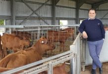 Free trade agreement ‘boost to farmers’